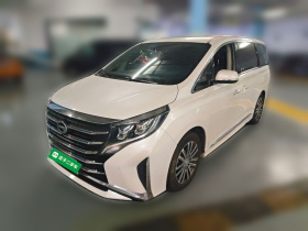 广汽传祺 传祺M8 2021款 领秀系列 390T 尊贵版