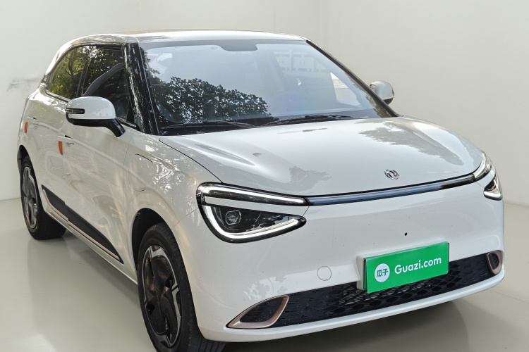 东风纳米 纳米01 2024款 焕新版 330 Plus智+车身外观3