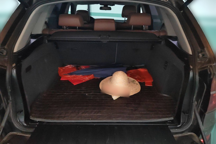 宝马X5(进口) 2013款 xDrive35i 领先型局部细节23