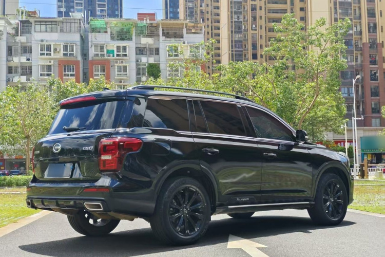 广汽传祺 传祺GS8 2021款 390T 两驱暗夜骑士版车身外观6003