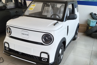 吉利银河 2025款 210km 熊猫卡丁