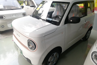 吉利银河 2024款 熊猫mini 200km 耐力熊