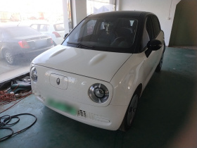 欧拉黑猫 2021款 301km 基础型