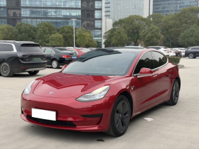 特斯拉 Model 3 2019款 标准续航后驱升级版