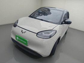 五菱汽车 五菱缤果 2023款 333km 灵犀互联+款