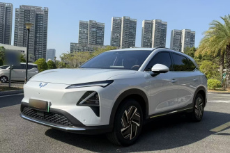 五菱汽车 五菱星光S 2024款 510km 旗舰型