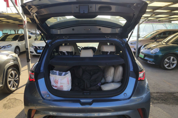 比亚迪 海豚 2024款 荣耀版 302km 活力版机舱底盘23