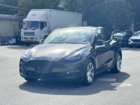 特斯拉 Model Y 2021款 长续航全轮驱动版 3D7