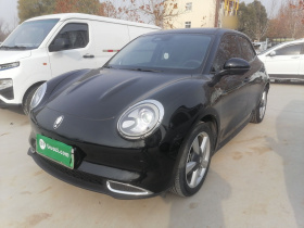 欧拉好猫 2021款 400km标准续航 维纳斯版 磷酸铁锂