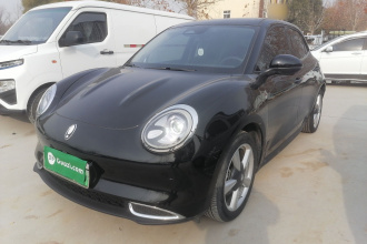 欧拉好猫 2021款 400km标准续航 维纳斯版 磷酸铁锂