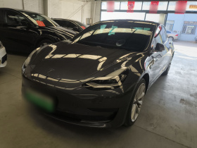 特斯拉 Model 3 2019款 标准续航后驱升级版