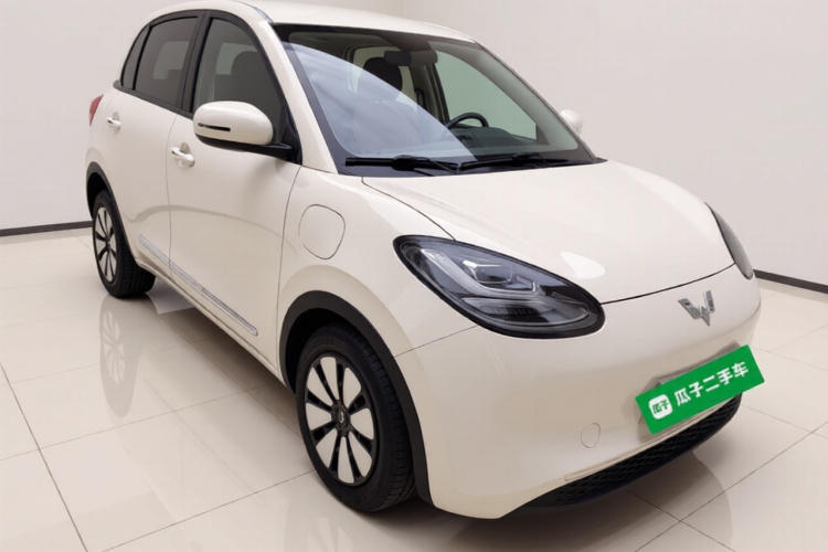 五菱汽车 五菱缤果 2023款 333km 悦享+款车身外观3