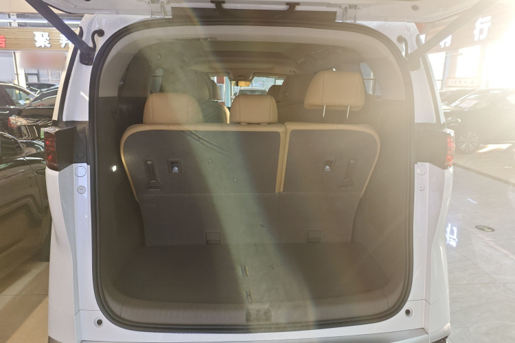 腾势D9 2022款 DM-i 970 四驱尊荣型局部细节23