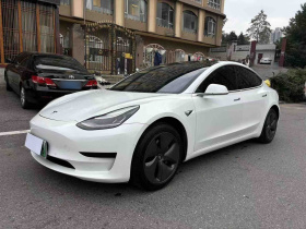特斯拉 Model 3 2019款 标准续航后驱升级版