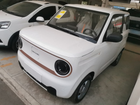 吉利银河 2024款 熊猫mini 200km 耐力熊