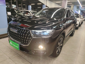 哈弗H6 2023款 国潮版 1.5T 自动冠军版