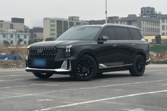 广汽传祺 传祺GS8 2022款 双擎系列 2.0TM 两驱尊贵版 （六座）