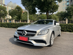 奔驰CLS 2012款 CLS 300 CGI