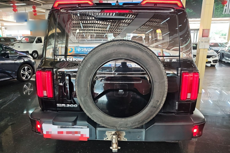 坦克300 2021款 城市版 2.0T 很有型车身外观6004