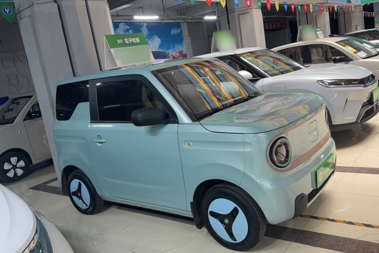 吉利银河 2023款 熊猫mini 200km 耐力熊车身外观6002