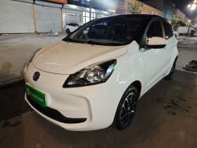 长安欧尚 奔奔E-Star 2022款 国民版 多彩限量款（快充版）磷酸铁锂