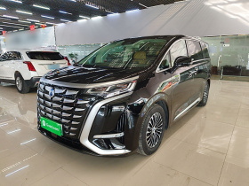 腾势D9 2024款 DM-i 980 四驱旗舰型