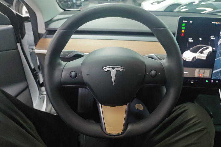 特斯拉 Model 3(进口) 2019款 长续航全轮驱动版中控内饰13