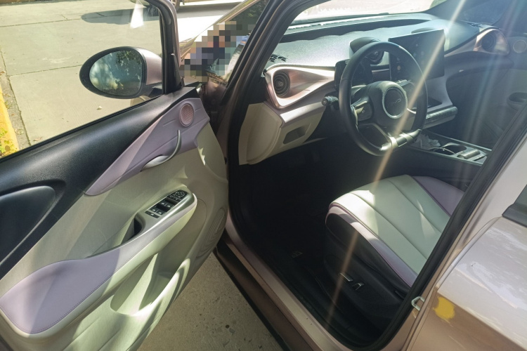 比亚迪 海豚 2021款 405km 时尚版中控内饰7003