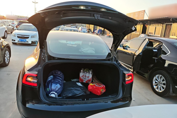 特斯拉 Model 3(进口) 2019款 长续航全轮驱动版机舱底盘23