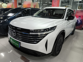 日产 探陆 2024款 380VC-TURBO 四驱智尊版 6座