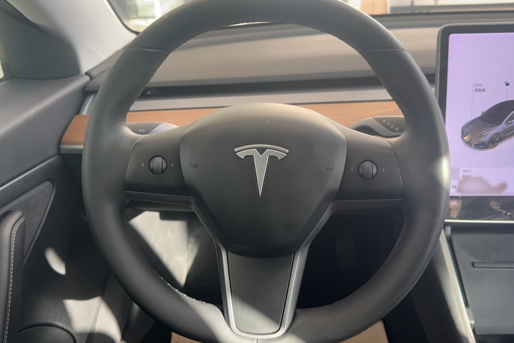 特斯拉 Model 3 2019款 标准续航后驱升级版局部细节13