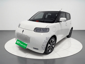 欧拉白猫 2020款 305km 豪华型