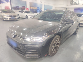 大众 帕萨特 2025款 Pro 380TSI 星空龙耀版