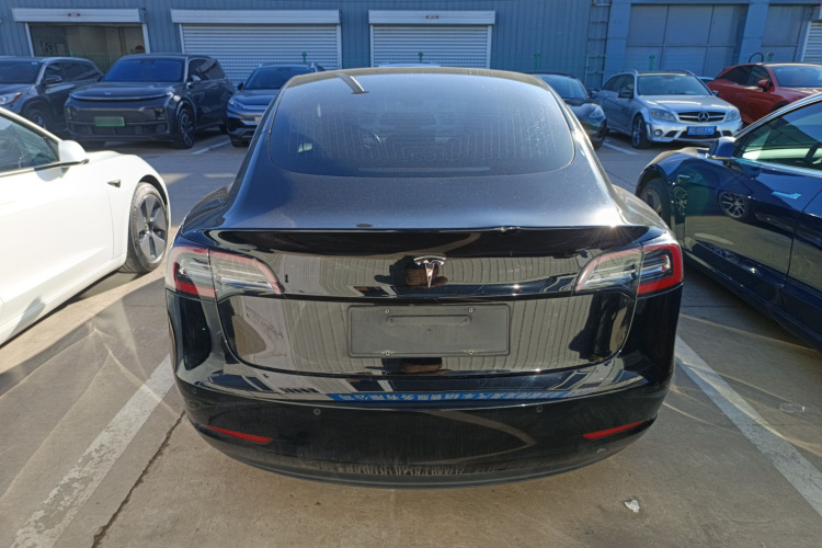 特斯拉 Model 3(进口) 2019款 长续航后驱版车身外观6004