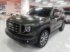 哈弗大狗 2021款 1.5T DCT两驱边牧版