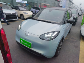 五菱汽车 五菱缤果 2025款 410km 灵犀尊享款