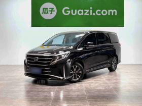 广汽传祺 传祺M8 2023款 领秀系列 390T 豪华版