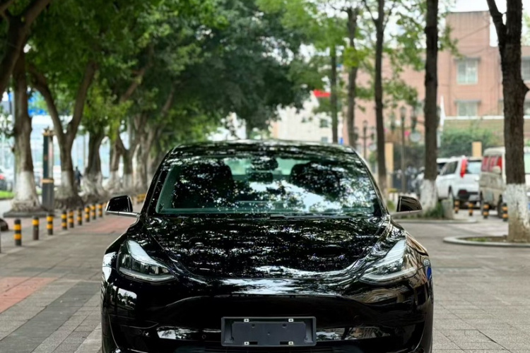 特斯拉 Model 3 2020款 改款 标准续航后驱升级版车身外观6007