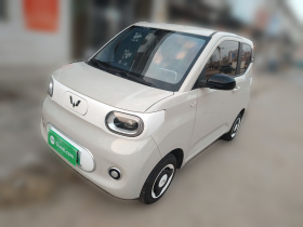 五菱汽车 宏光MINIEV 2024款 第三代 215km 青春版