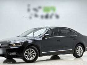 大众 朗逸 2024款 1.5L 自动五百万版