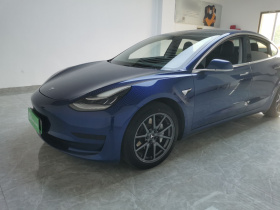 特斯拉 Model 3 2019款 标准续航后驱升级版