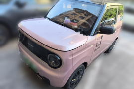 吉利银河 2023款 熊猫mini 200km 耐力熊