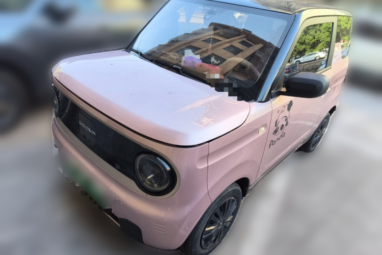 吉利银河 2023款 熊猫mini 200km 耐力熊车身外观1