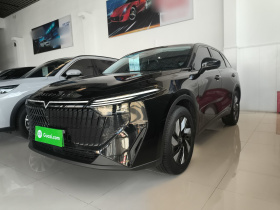 启辰大V DD-i 2023款 60km iD版