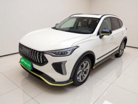 哈弗赤兔 2022款 劲享版 1.5T 紫铜兔