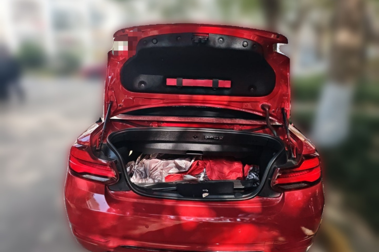 宝马2系(进口) 2019款 225i 敞篷轿跑车 运动设计套装中控内饰23