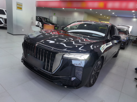 红旗H9 2024款 2.0T 旗畅 私享风尚版