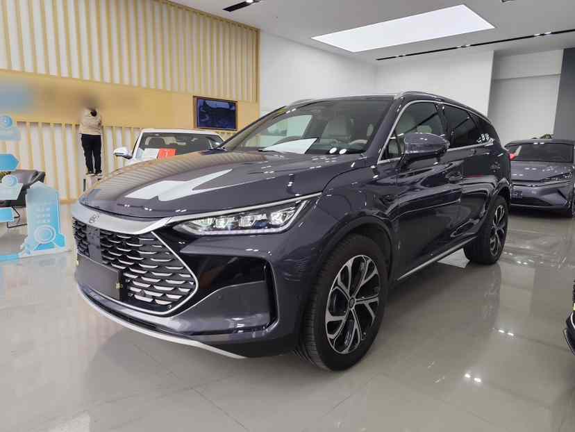 比亚迪 唐新能源 2025款 智驾版 DM-i 115KM 旗舰型(1)
