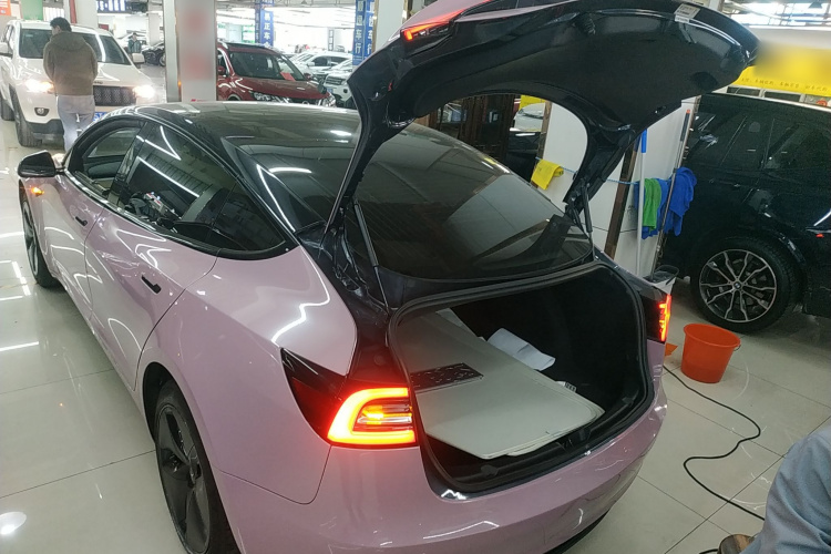 特斯拉 Model 3(进口) 2019款 长续航后驱版机舱底盘23