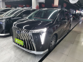 广汽传祺 传祺E9 2023款 E9 宗师